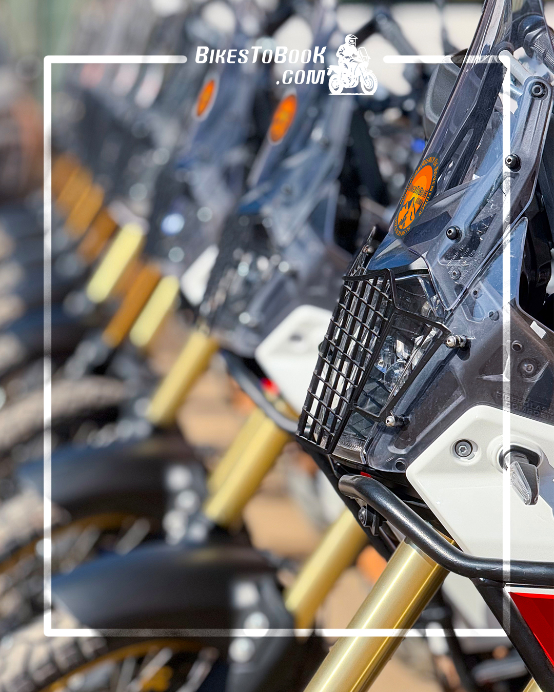 <h3>Explore Marrakech and Its Adventures</h3>